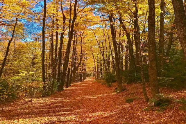 $5,950,000 | 3800 Weston-Andover Road, Andover, VT 05143