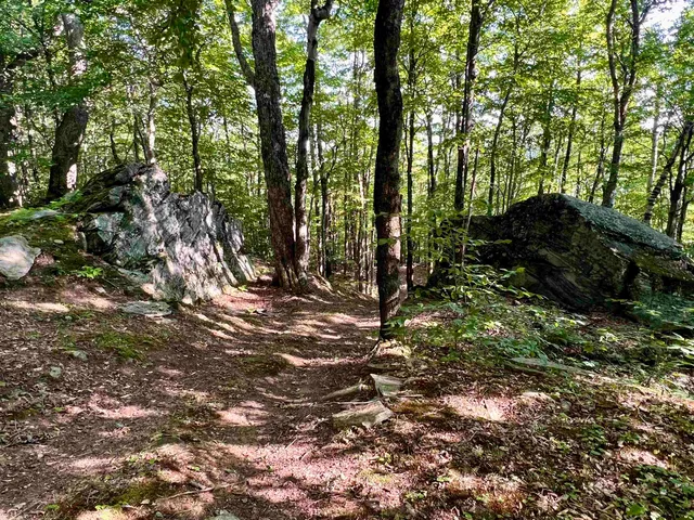 $5,950,000 | 3800 Weston-Andover Road, Andover, VT 05143