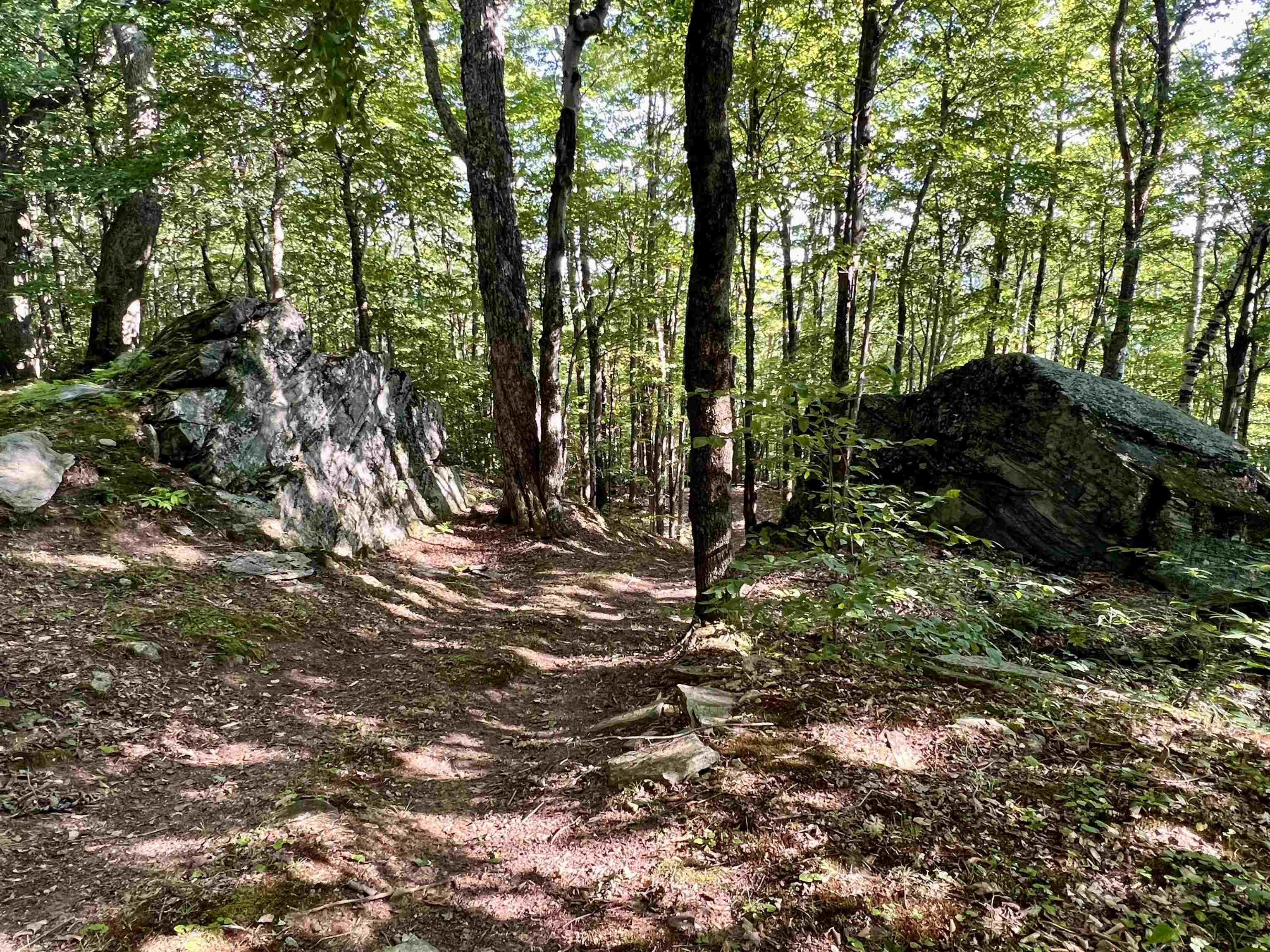 3800 Weston-Andover Road Andover, VT 05143 - Photo 36 of 41