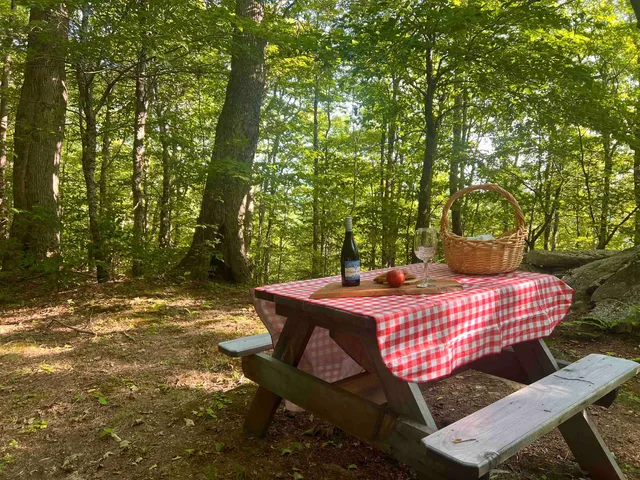 $5,950,000 | 3800 Weston-Andover Road, Andover, VT 05143