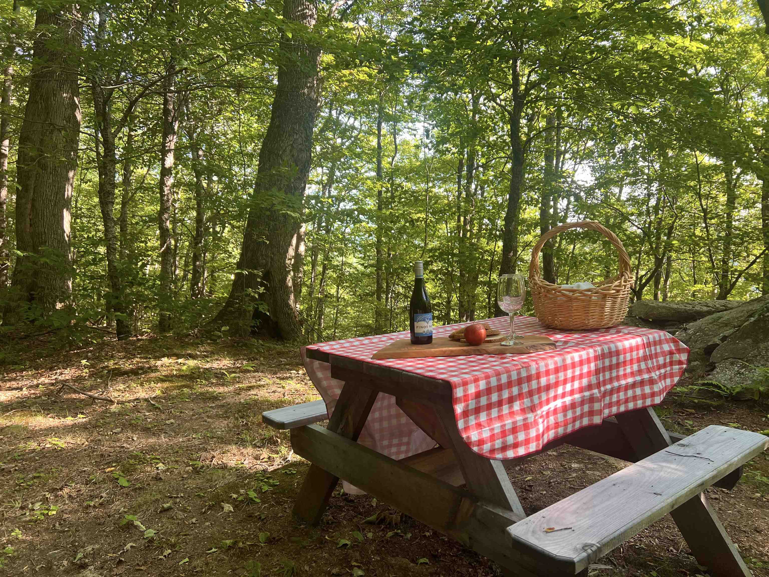 3800 Weston-Andover Road Andover, VT 05143 - Photo 37 of 41