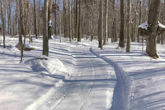 $5,950,000 | 3800 Weston-Andover Road, Andover, VT 05143