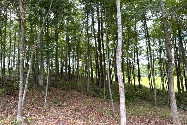 $20,000 | Lot M-15 Cavalry Run, North Augusta, SC 29860