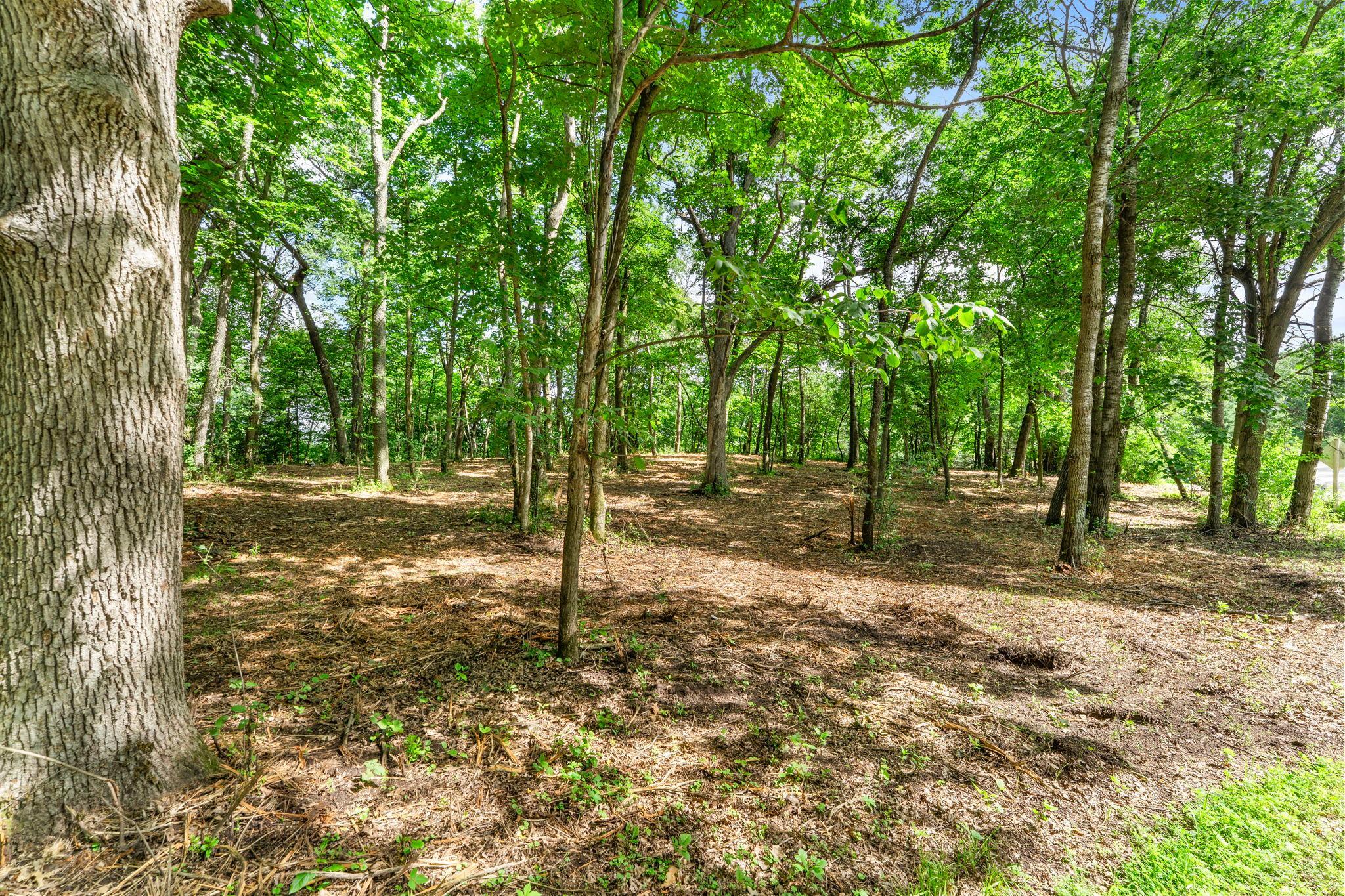 2-xx Cove Road Hudson, WI 54016 - Photo 12 of 18
