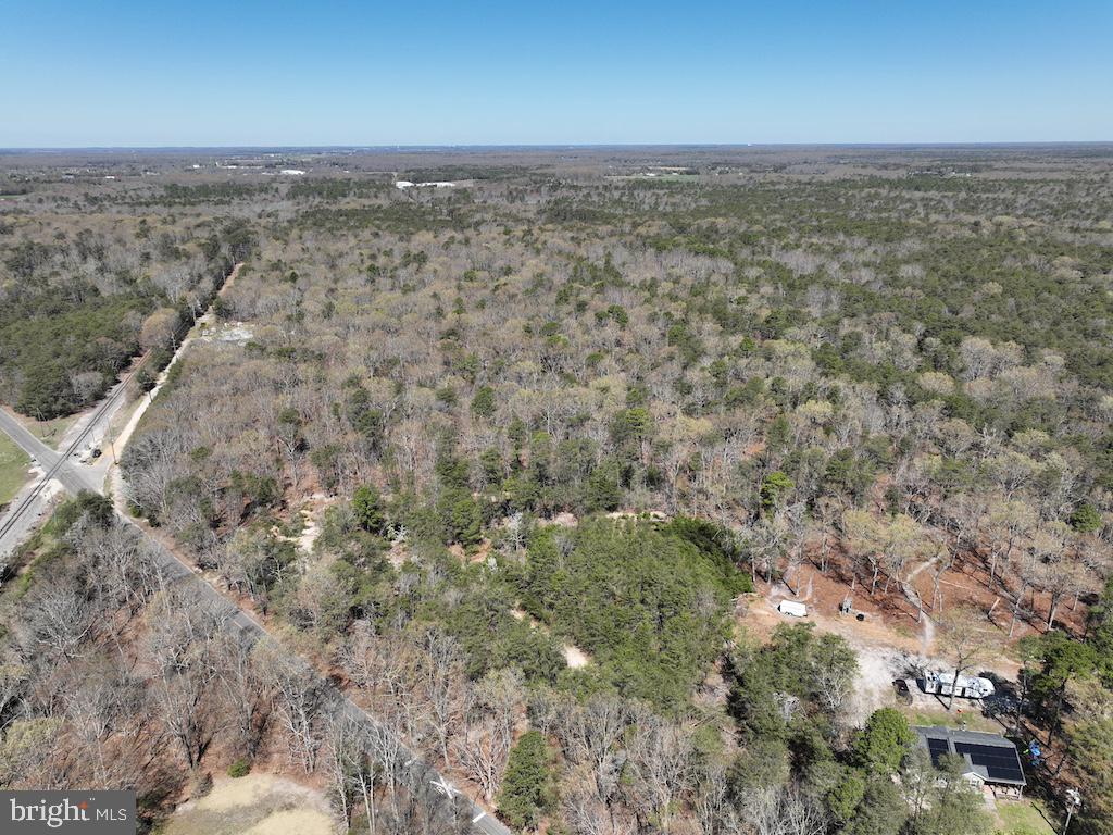 351 Shaws Mill Road Cedarville, NJ 08311 - Photo 76 of 84