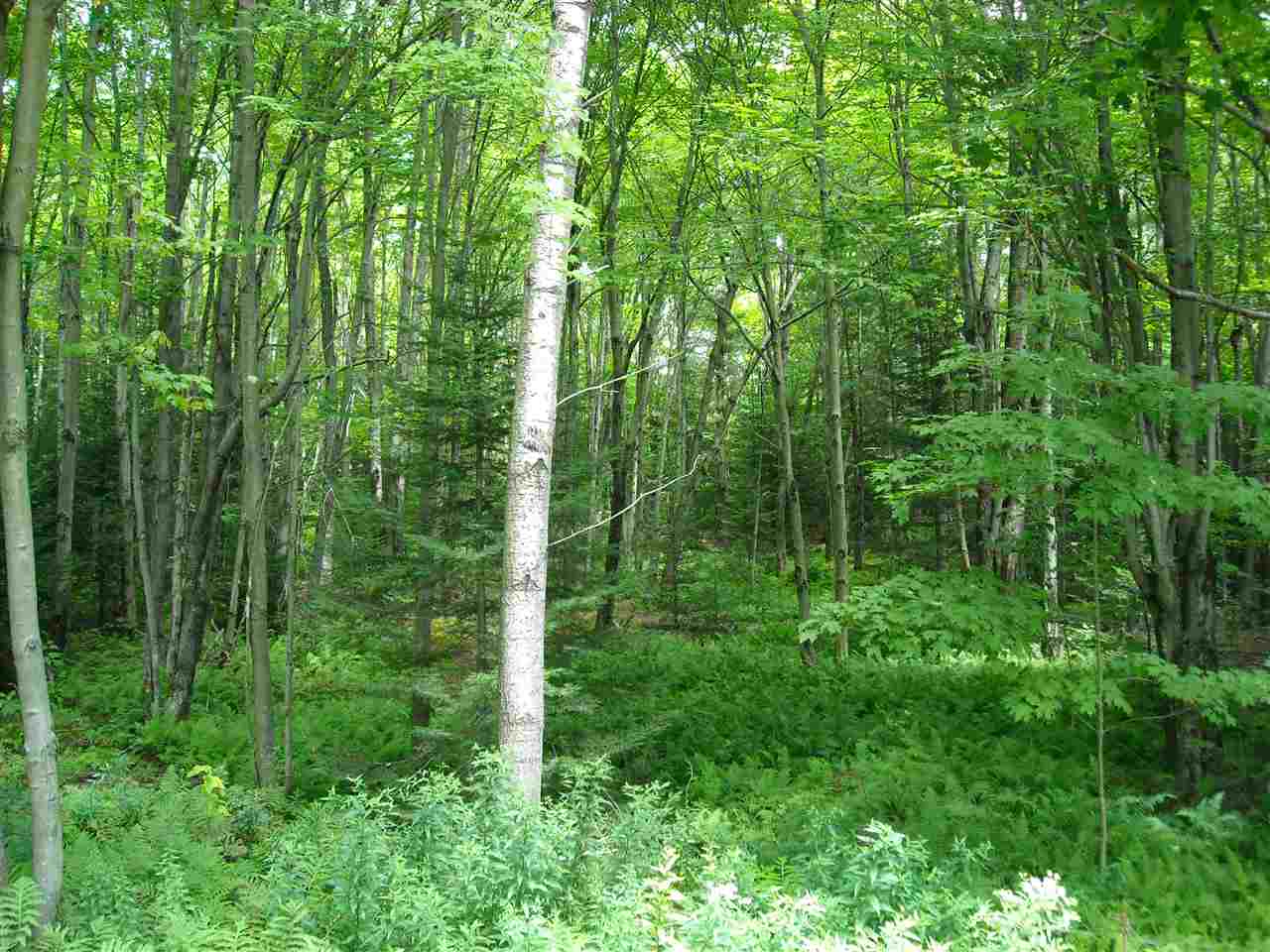 0 Points North Road, Unit 6 Stowe, VT 05672 - Photo 1 of 4 Gallery Image 1