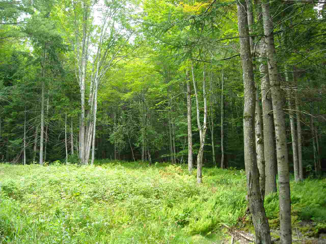 0 Points North Road, Unit 6 Stowe, VT 05672 - Photo 3 of 4 Gallery Image 3
