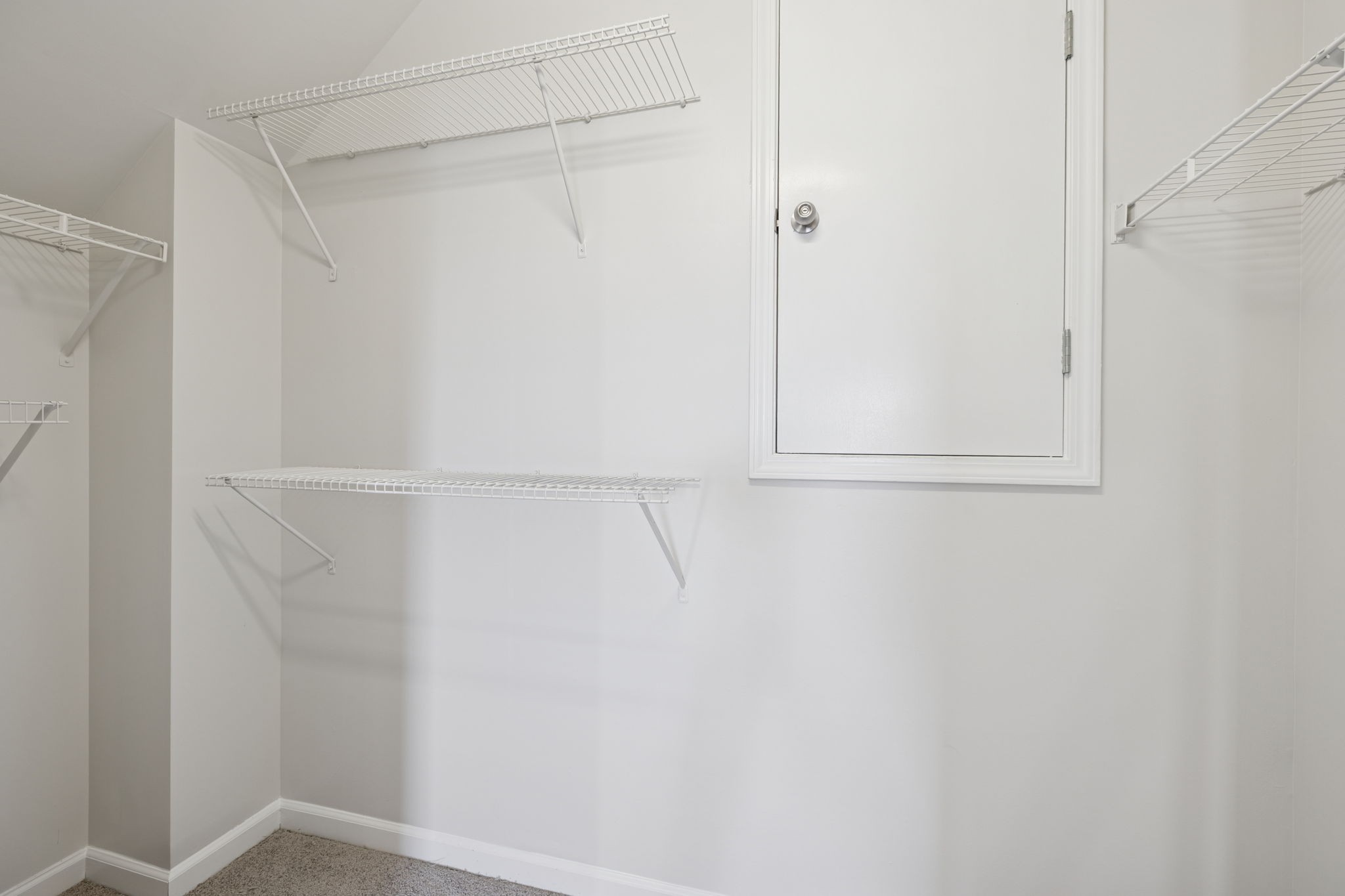 8010 Tiger Court Spring Hill, TN 37174 - Photo 14 of 36 a view of an empty walk in closet