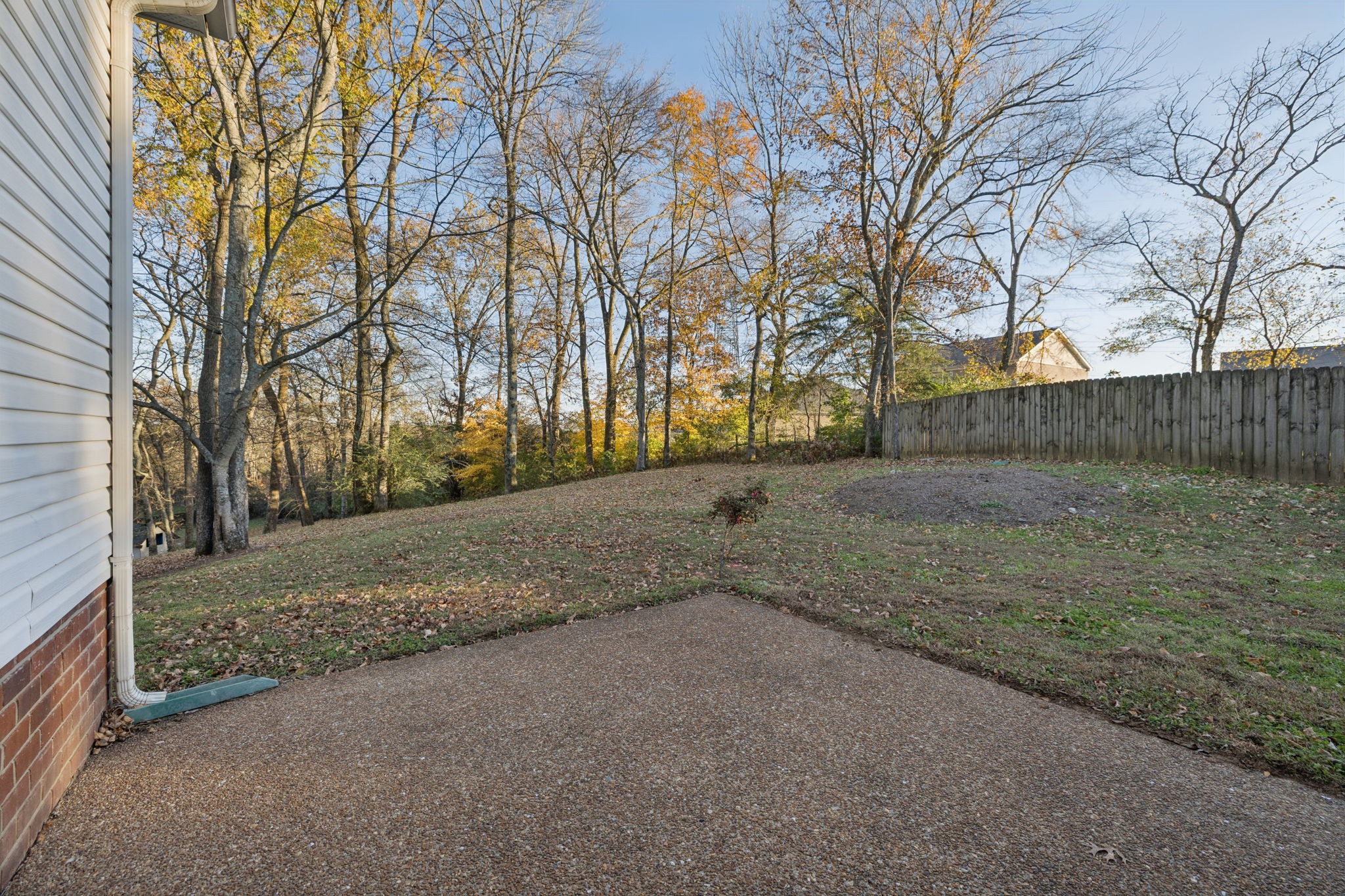 8010 Tiger Court Spring Hill, TN 37174 - Photo 34 of 36 a view of dirt yard with a tree