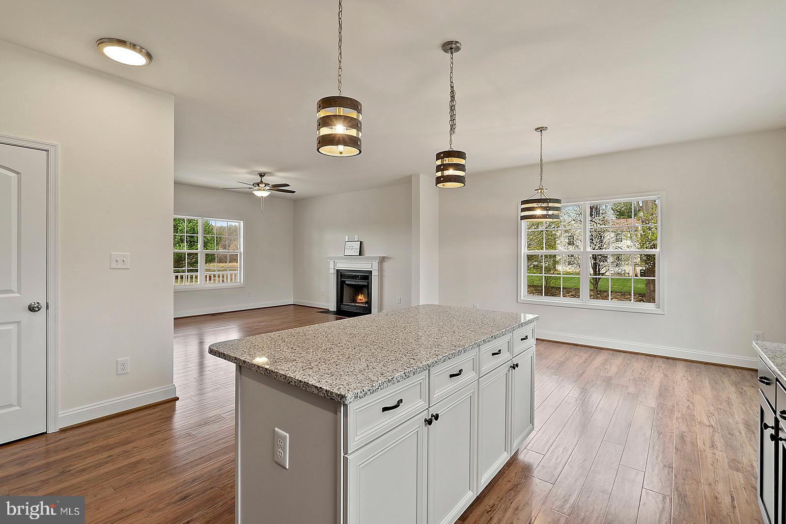 12020 Hume Road Hume, VA 22639 - Photo 12 of 38 Pantry across from Island