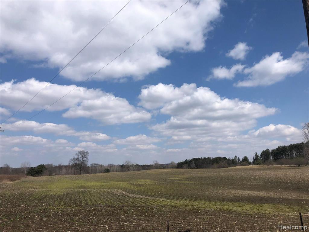 0 Lum Road Attica, MI 48412 - Photo 20 of 24 Gallery Image 20
