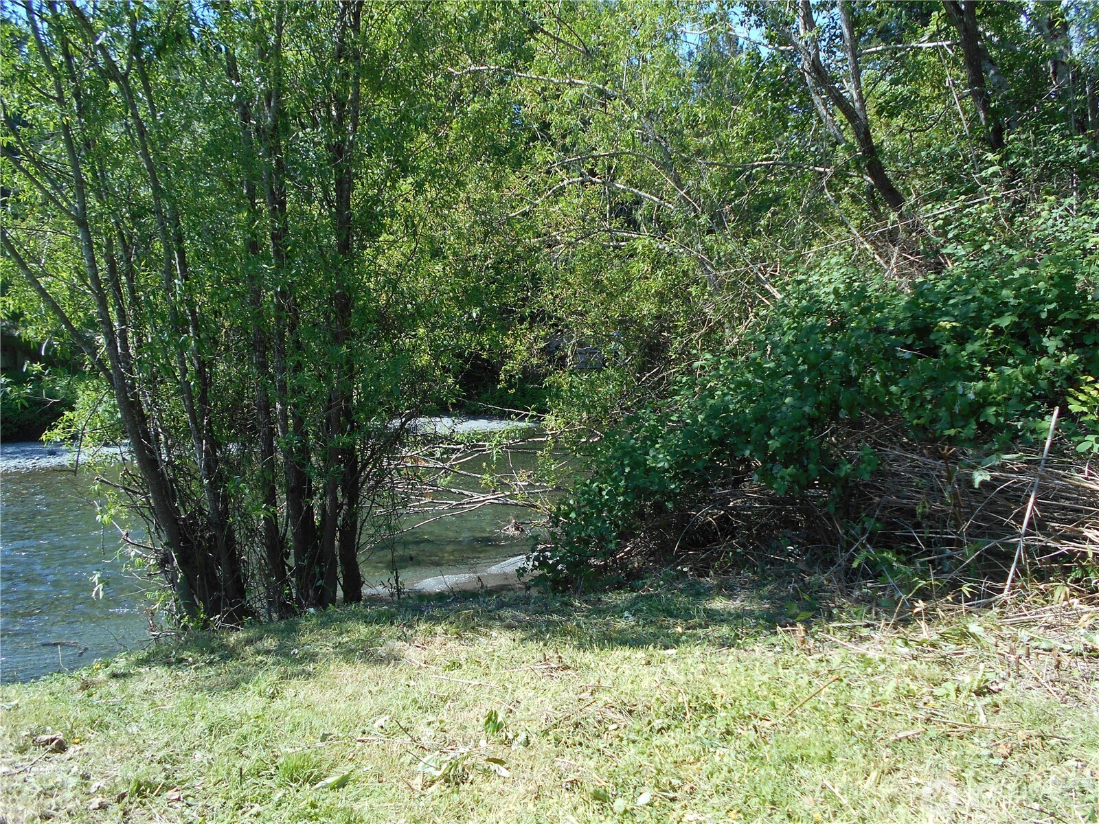 170 Kelly Road Brinnon, WA 98320 - Photo 4 of 29 a backyard of a house with lots of green space