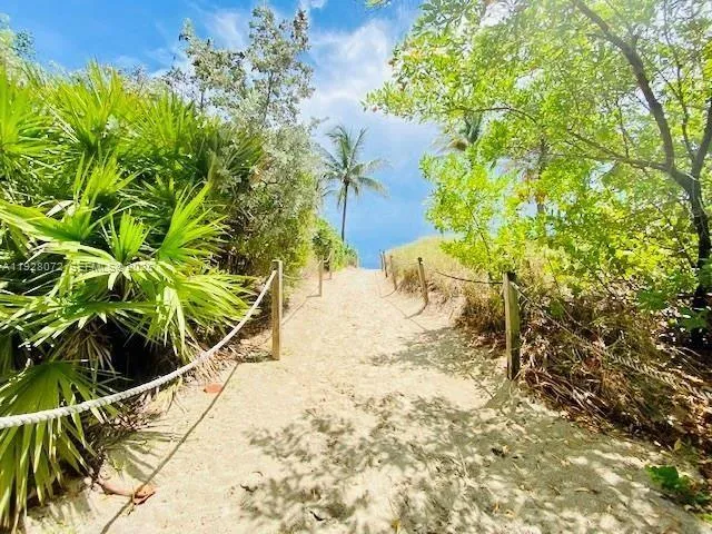 a view of a yard with plants