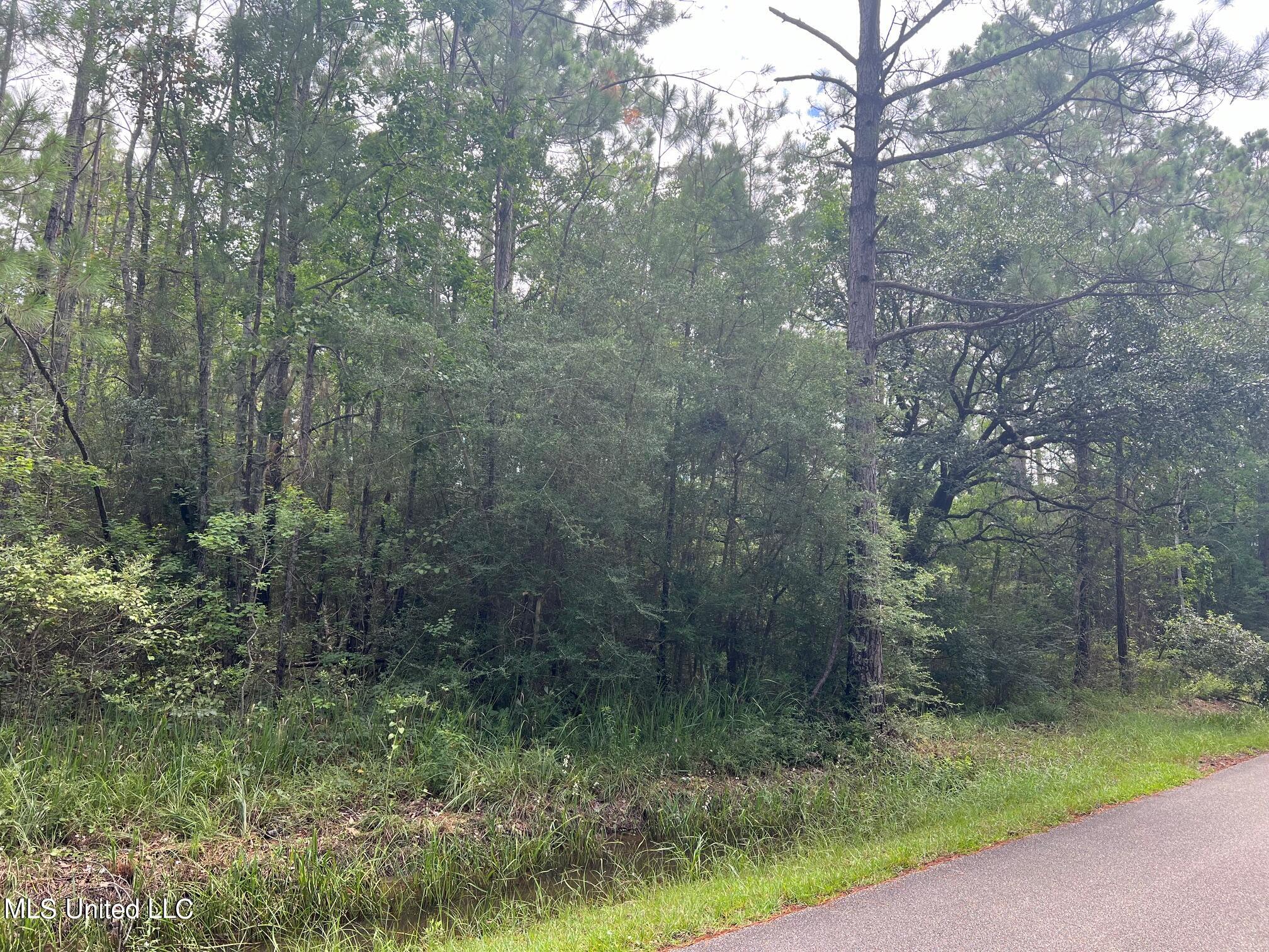 0 Old Road Bay St. Louis, MS 39520 - Photo 2 of 3 IMG_4543