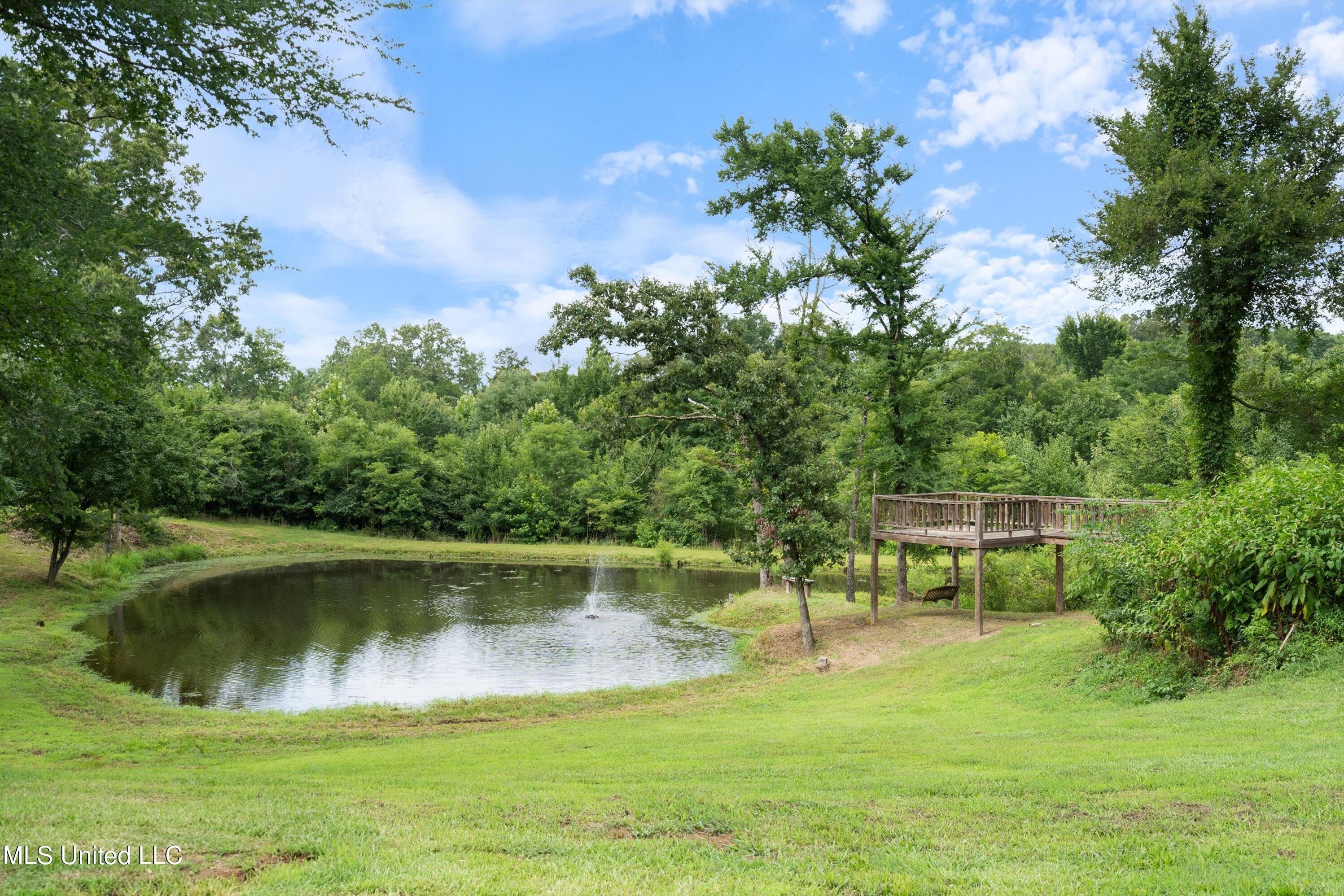 4392 Sunset Road Nesbit, MS 38651 - Photo 46 of 48 44-DSC8652