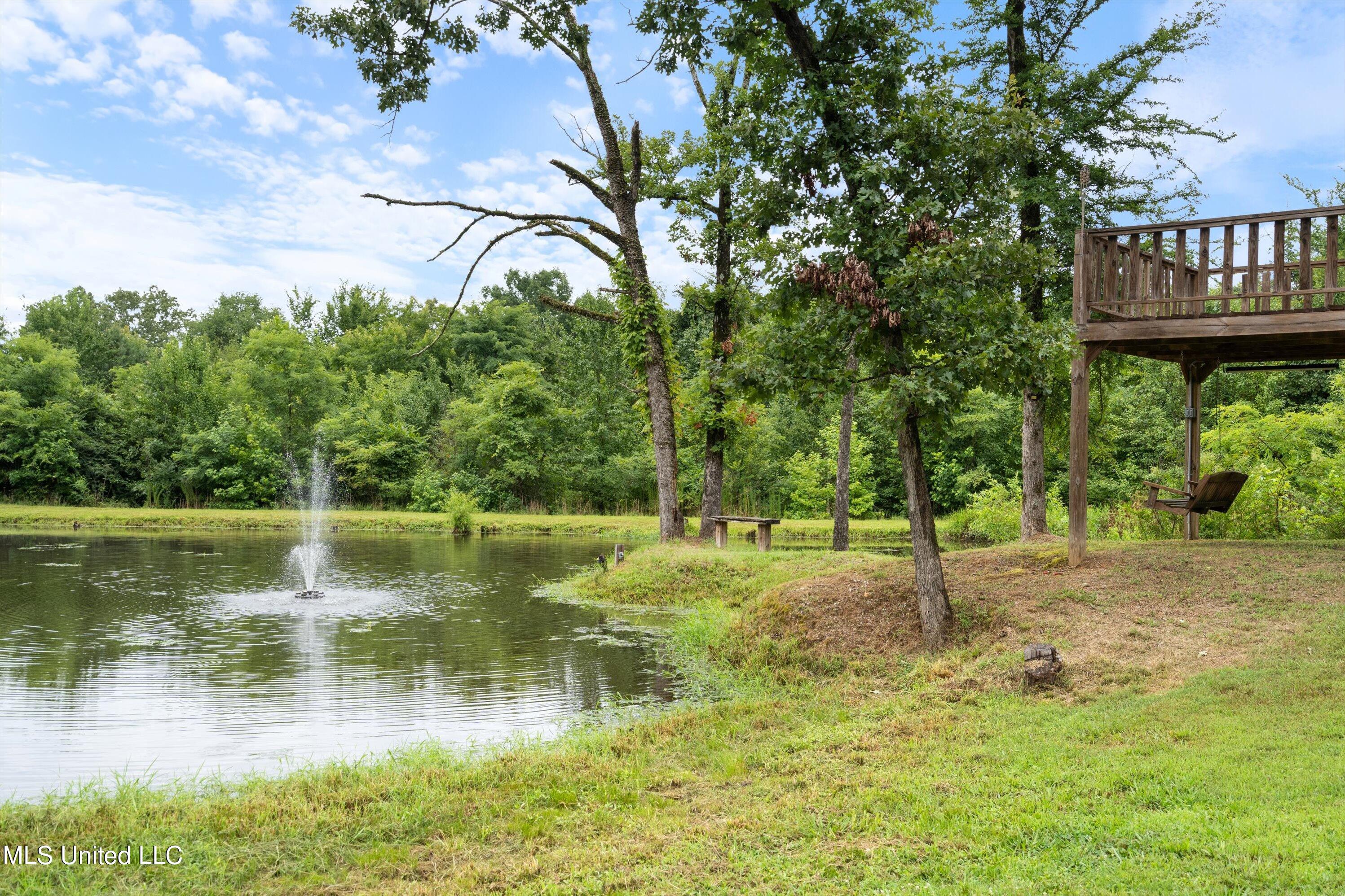4392 Sunset Road Nesbit, MS 38651 - Photo 10 of 48 45-DSC8351