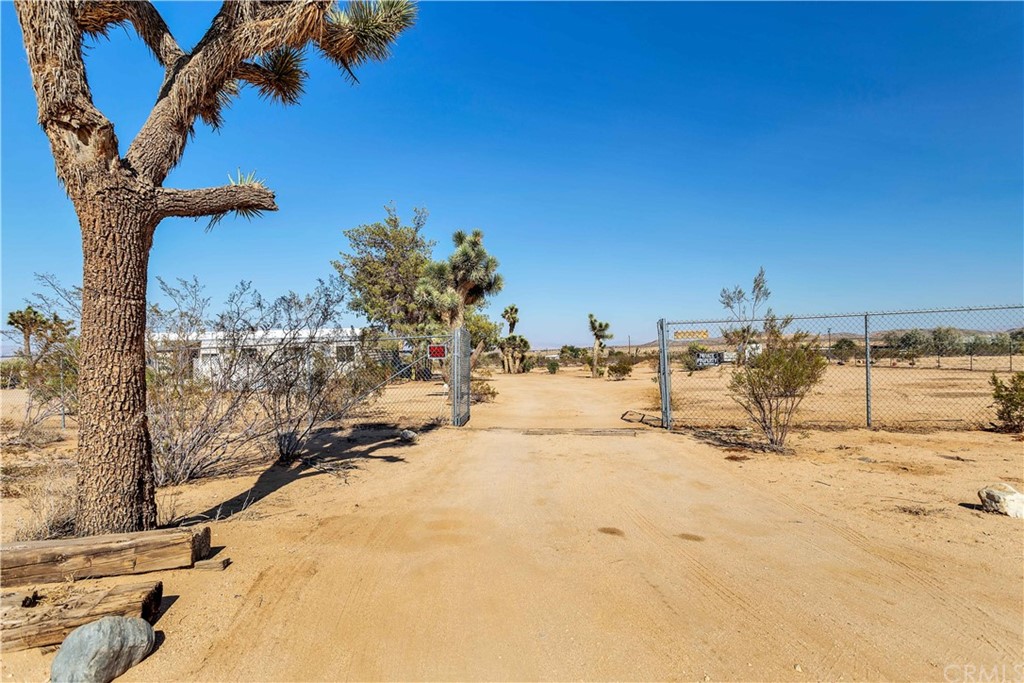 56635 Handley Road Yucca Valley, CA 92284 - Photo 1 of 1 a view of water with a palm tree