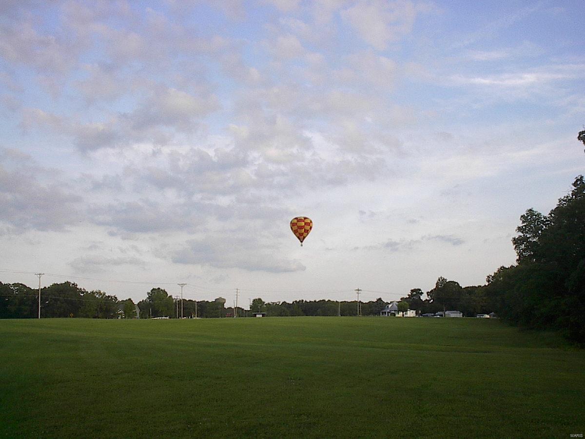 229 Fiddlecreek Ridge Road Wentzville, MO 63385 - Photo 3 of 8