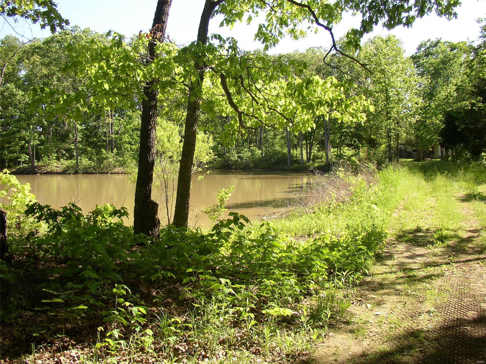 229 Fiddlecreek Ridge Road Wentzville, MO 63385 - Photo 6 of 8
