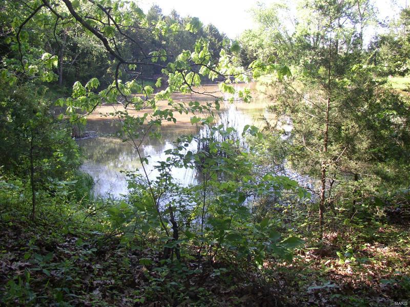 229 Fiddlecreek Ridge Road Wentzville, MO 63385 - Photo 7 of 8