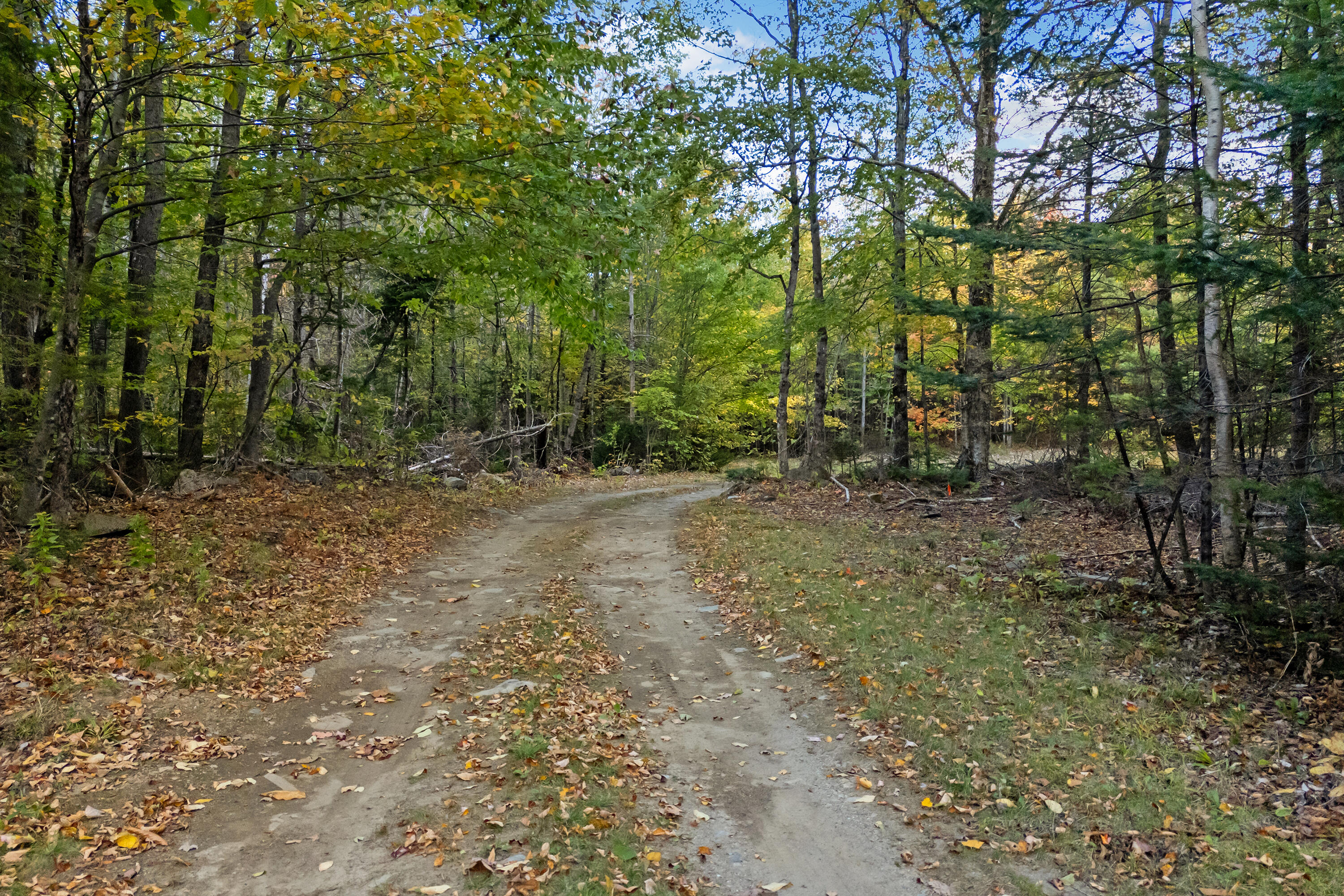 0 Taylor Cemetery Road Wellington, ME 04942 - Photo 4 of 6