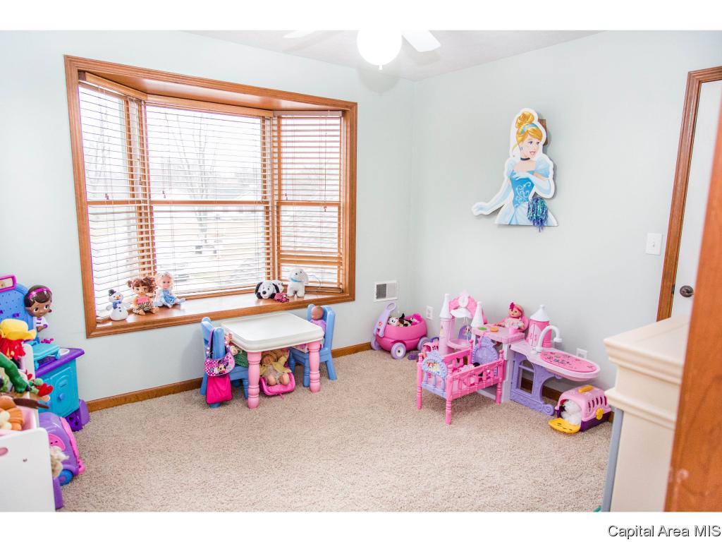 14297 Prairie Trail Athens, IL 62613 - Photo 22 of 30 Gallery Image 22