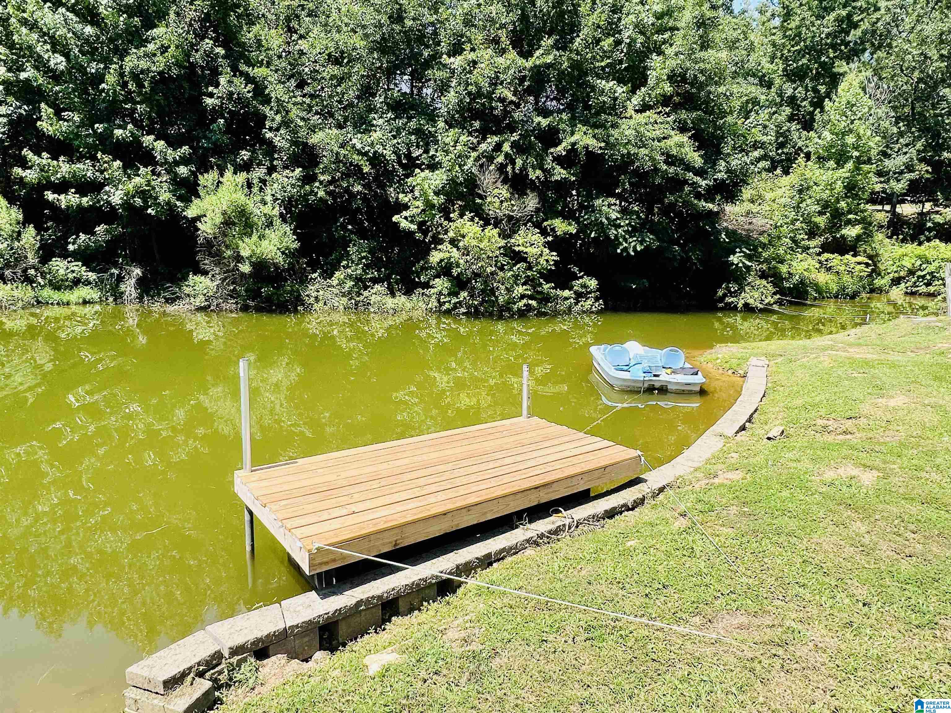 165 Dove Cove Road Talladega, AL 35160 - Photo 4 of 29