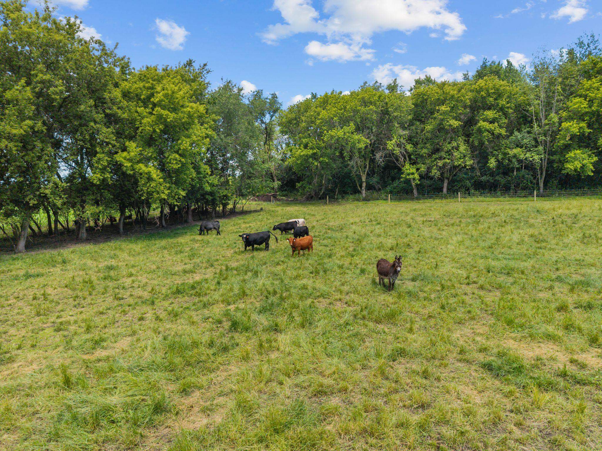 N2954 North Kearley Road Markesan, WI 53946 - Photo 68 of 68