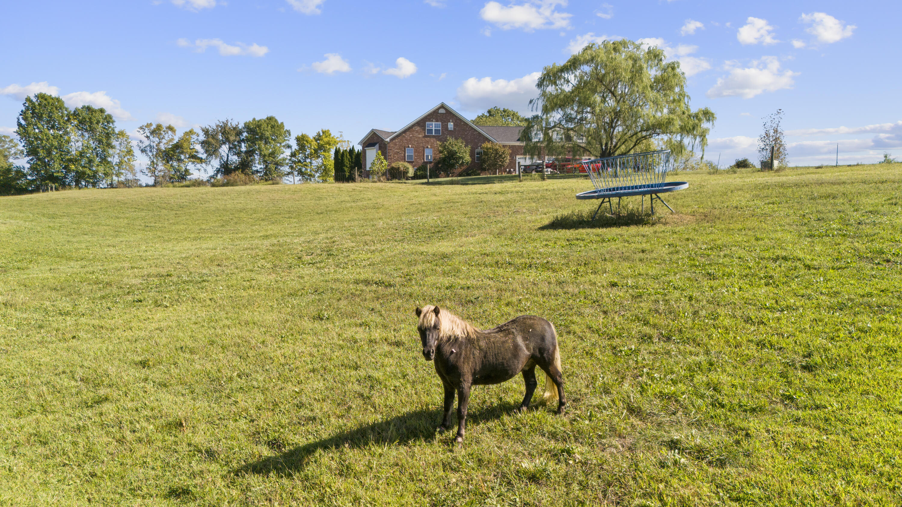 788 Locust Fork Road Stamping Ground, KY 40379 - Photo 20 of 73 DJI_20240918111637_0025_D