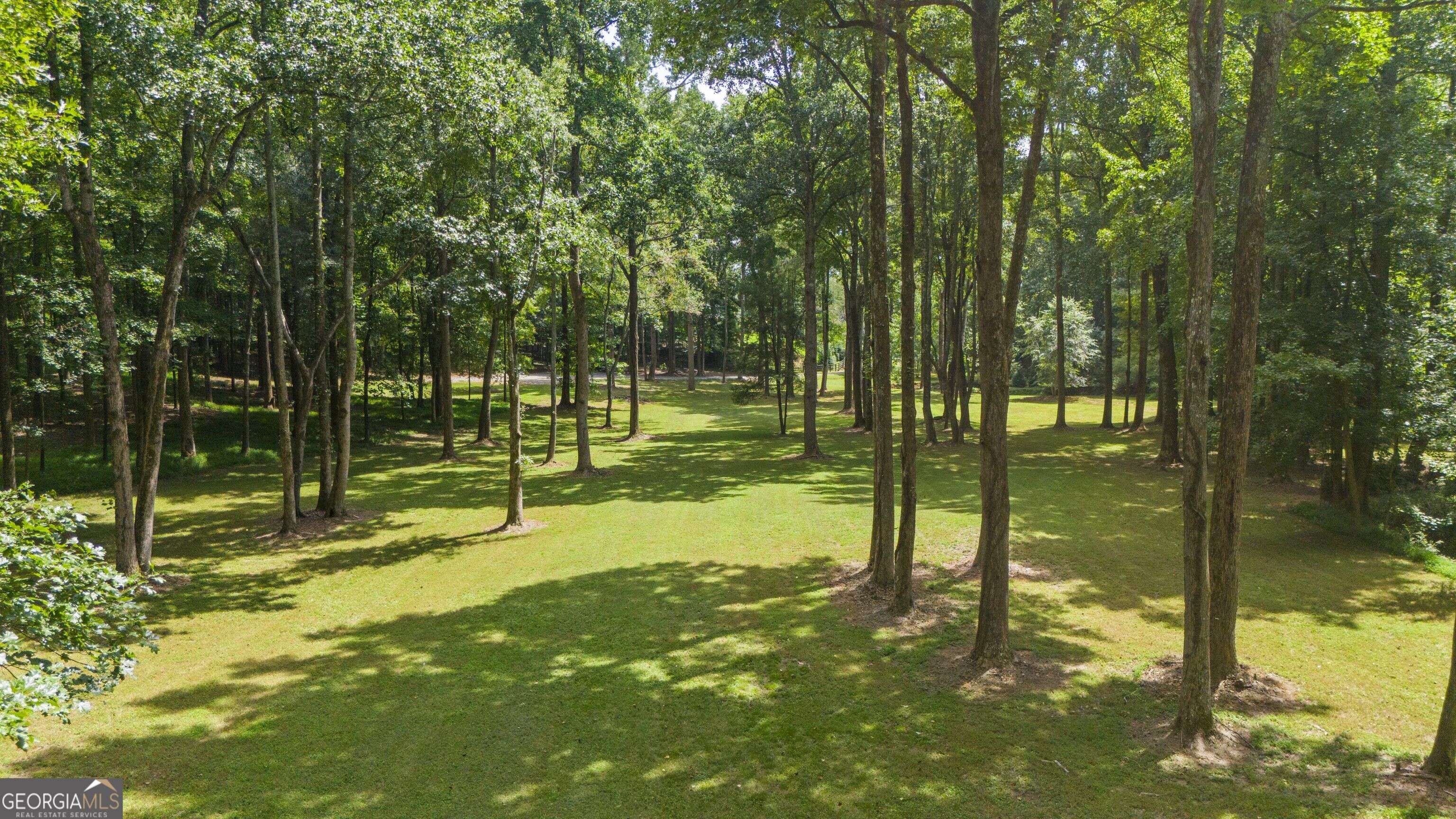 383 Liberty Grove Road Canton, GA 30115 - Photo 10 of 16 Gallery Image 10