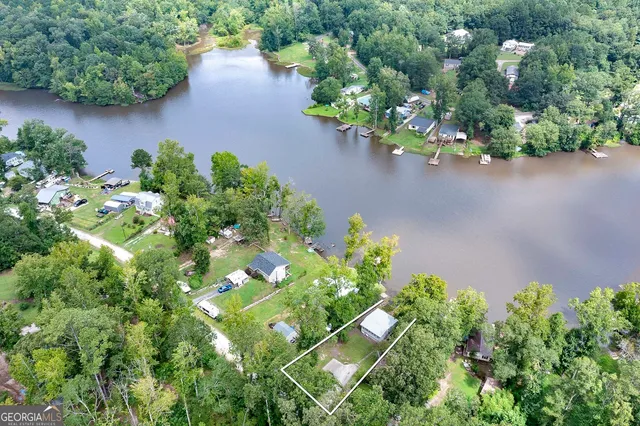 a view of a garden with a flower in a garden