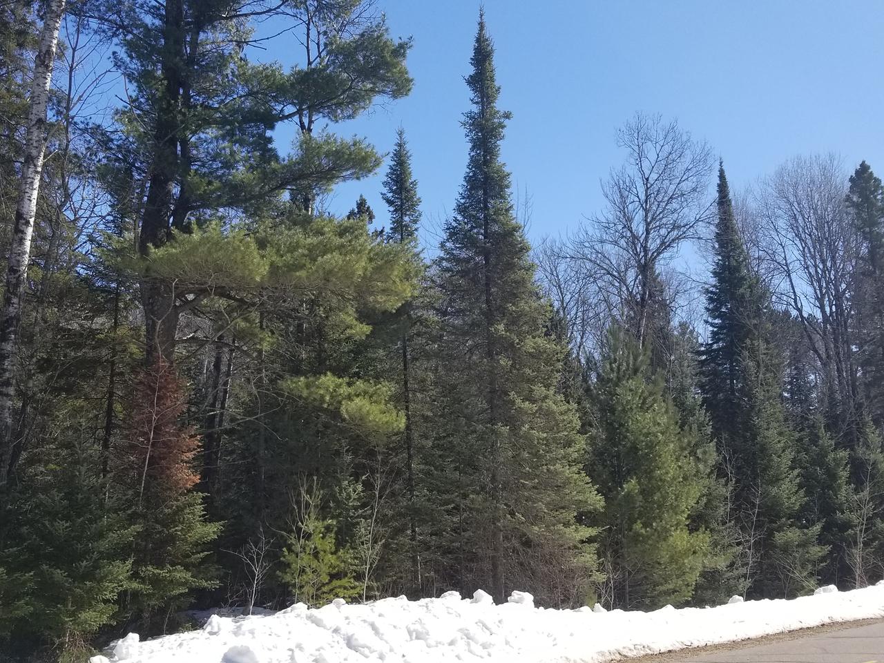 37-acres Dereg Road Tomahawk, WI 54487 - Photo 3 of 10 Gallery Image 3
