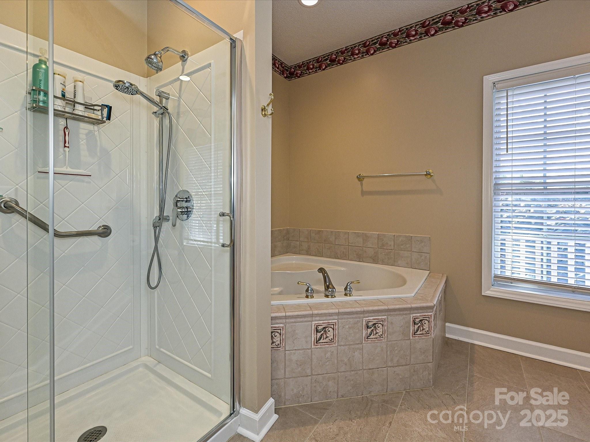 25040 Timberlake Drive Tega Cay, SC 29708 - Photo 25 of 40 a bathroom with a tub a sink a mirror and shower