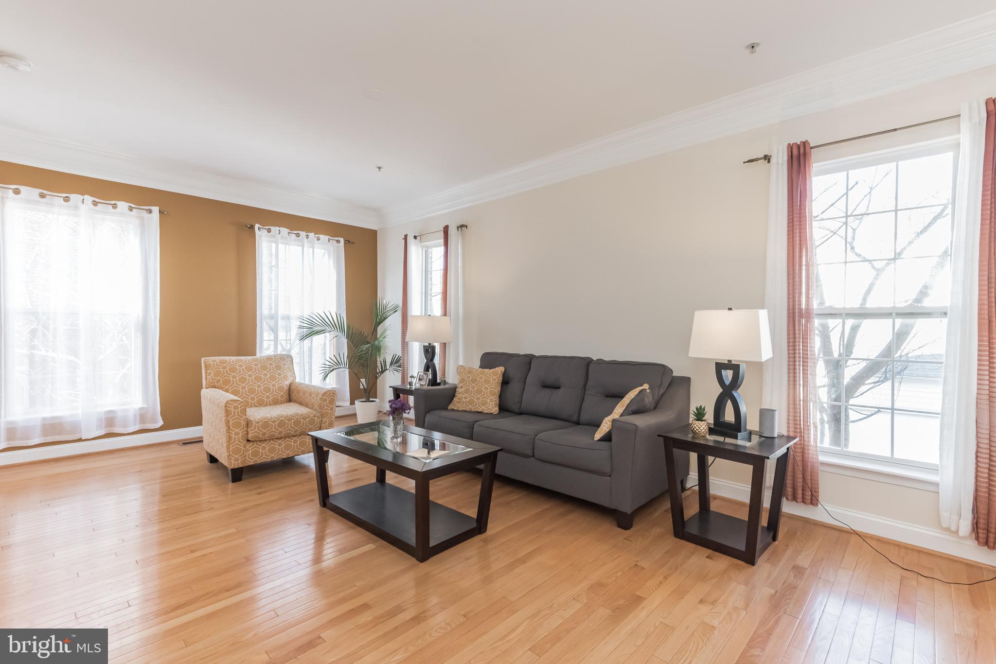 1035 Gaither Road Rockville, MD 20850 - Photo 11 of 29 Gallery Image 11