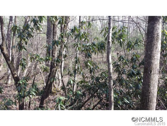 9999 Sharon Road Fairview, NC 28730 - Photo 5 of 5 Gallery Image 5