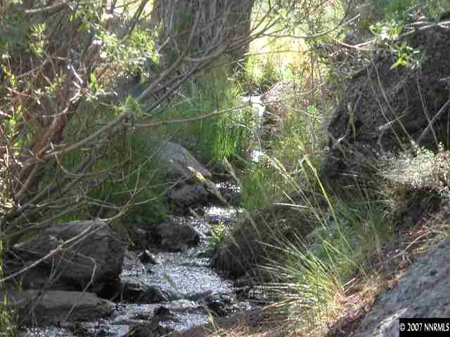 2255 Piute Creek Road Reno, NV 89510 - Photo 5 of 9 a backyard of a house with lots of green space