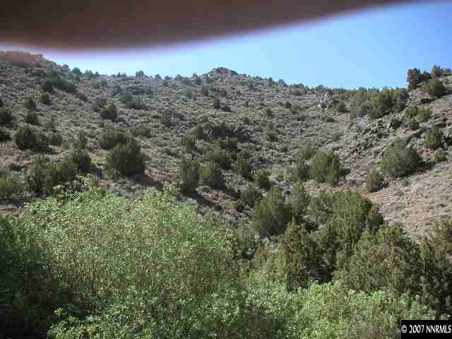 2255 Piute Creek Road Reno, NV 89510 - Photo 6 of 9 an aerial view of mountain and tree in the background