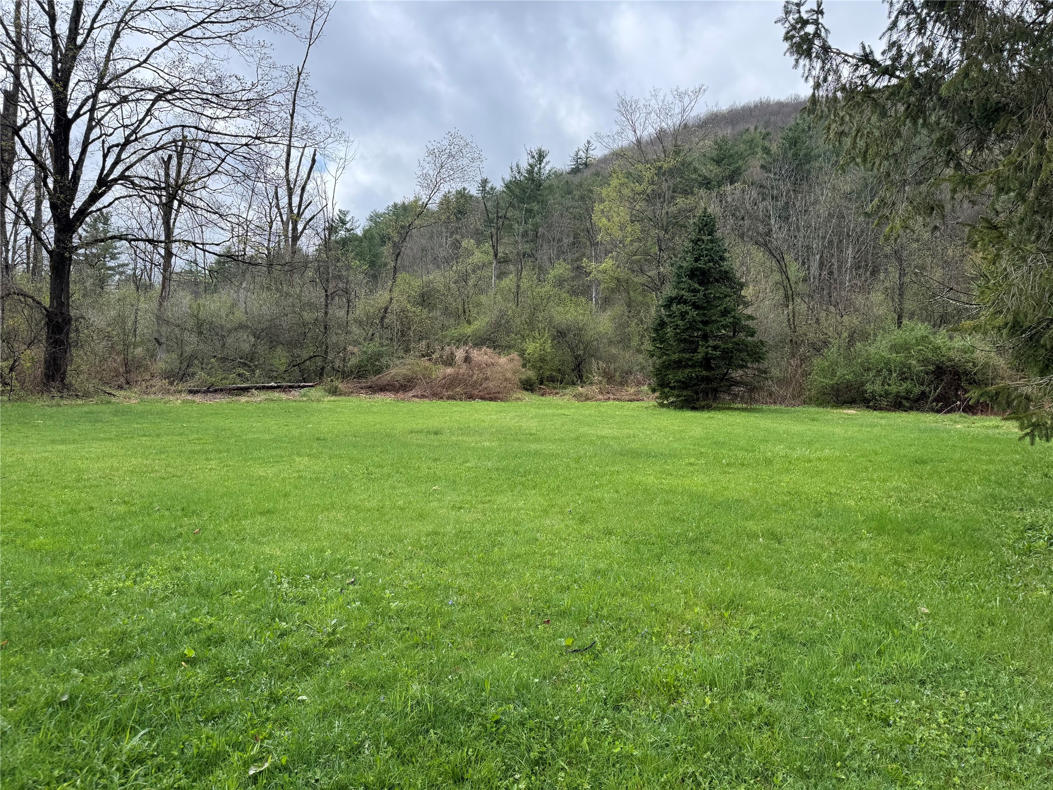 124 De Rosa Road Hallstead, PA 18822 - Photo 9 of 38