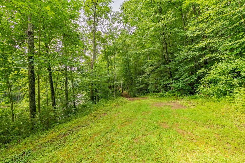 Tbd River Road, Unit 74 Hillsville, VA 24343 - Photo 19 of 31 Gallery Image 19