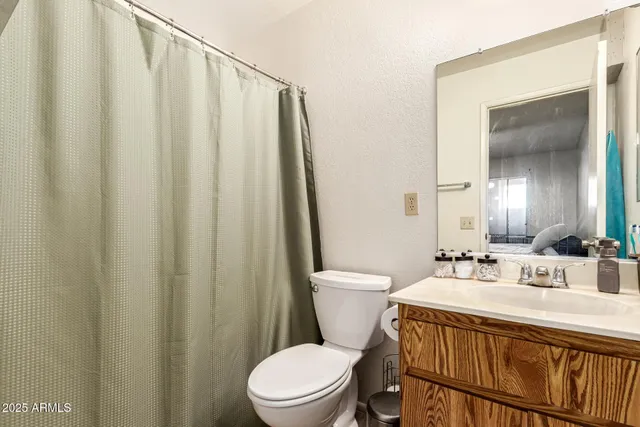 a bathroom with a sink a toilet and shower curtain