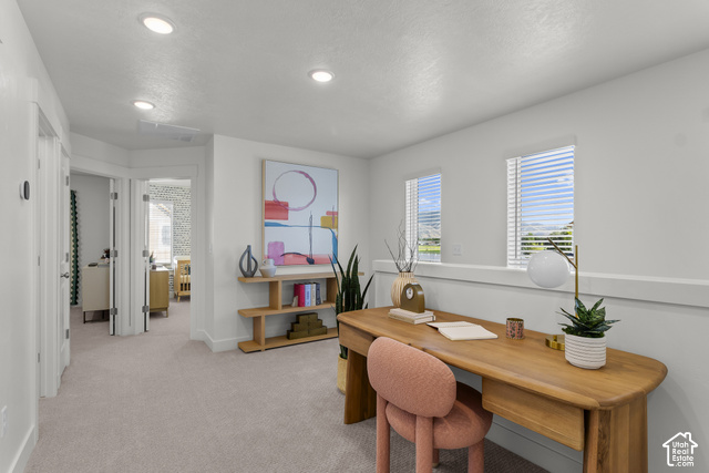 276 West 3075th Street South Logan, UT 84321 - Photo 14 of 33 Recessed lighting, light-toned carpeting, multiple windows, built-in shelving, and white interior doors