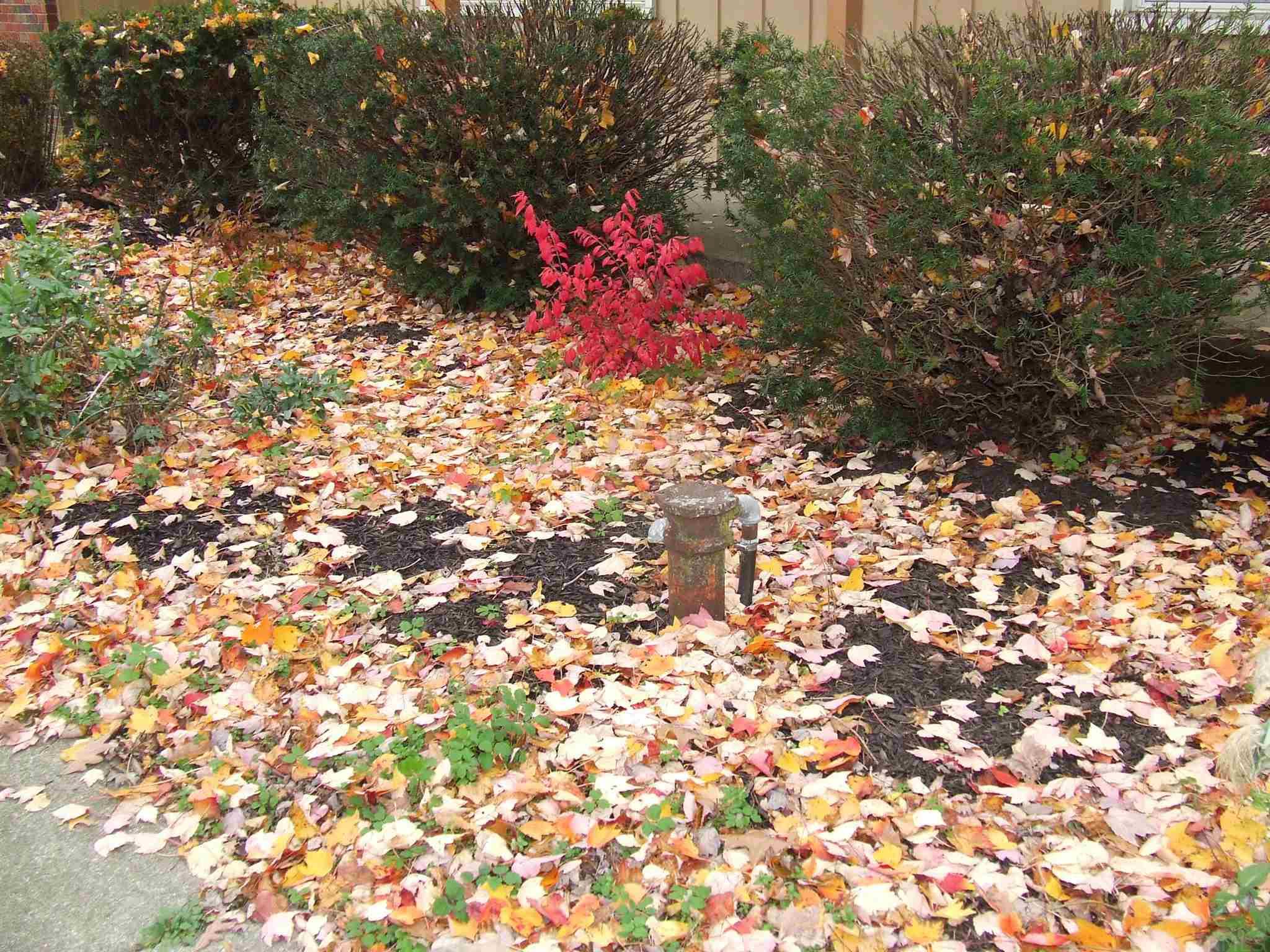 2308 Blair Road Fort Wayne, IN 46819 - Photo 27 of 28 Gallery Image 27