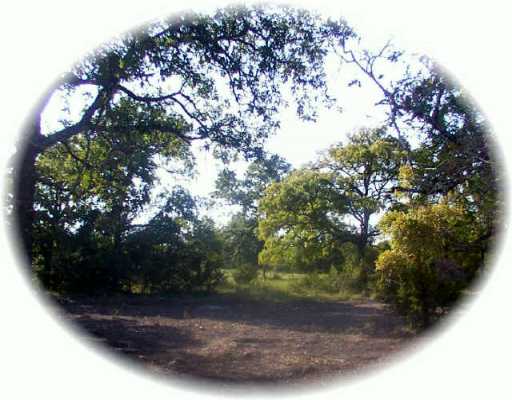 0 Iowa Austin, TX 78734 - Photo 1 of 1 Exterior Front : This is an example of what your view could be with some work