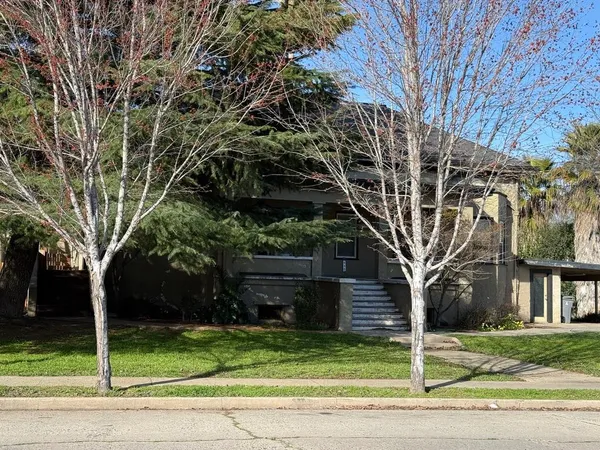 a tree in the middle of a yard