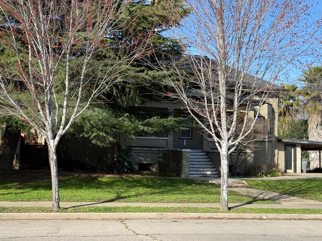 533 Reeves Avenue Yuba City, CA 95991 - Photo 1 of 48 a tree in the middle of a yard