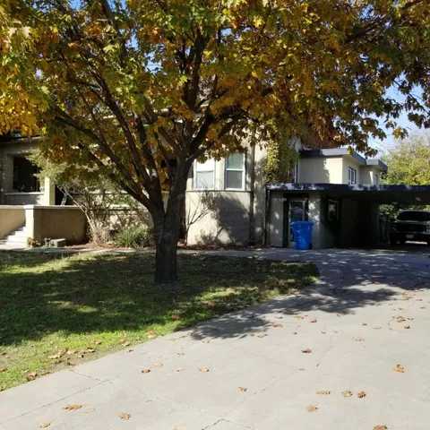 a view of a yard with plants and a large tree