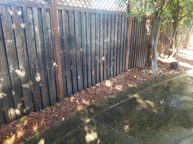 a view of street with flower plants