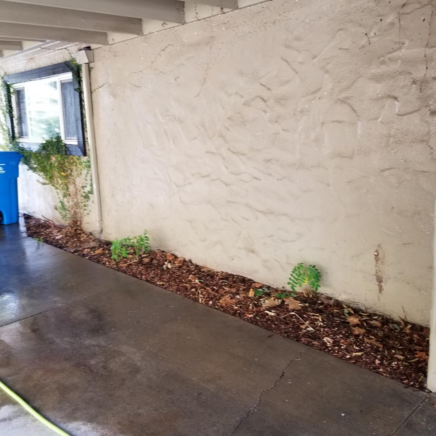 533 Reeves Avenue Yuba City, CA 95991 - Photo 39 of 48 a view of a plants