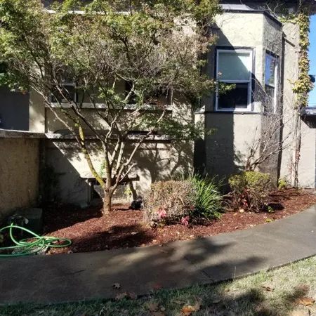 a close view of a backyard