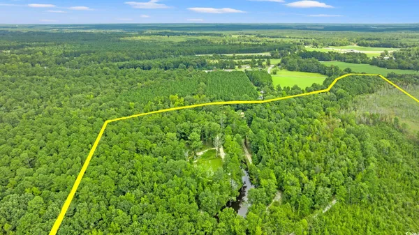 $799,000 | 3124 Doodlebug Place, Marion, SC 29571